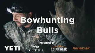 Season 4 Episode 6: Bowhunting Bulls