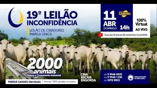 LEILÃO CAMARU - 19º LEILÃO DA INCONFIDÊNCIA - LEILÃO CRIADORES - 11/04/2021 - ÀS 14:00 HORAS