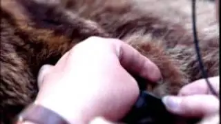 Верните наши деньги! 6 / 8
