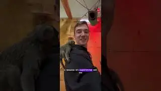 28 июня 2024 г.