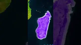 Why is Madagascar so Interesting? 