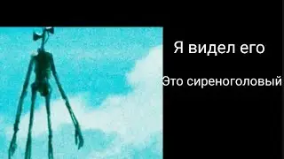 Мой друг видел сиреногового! переписка
