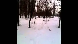 бухие школьники 1 января