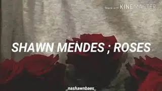 Shawn Mendes Roses subtitulada al español