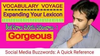GORGEOUS పదం అర్థం,ఉపయోగించే సందర్భం |VOCABULARY  VOYAGE|@srikameswariknowledgebank