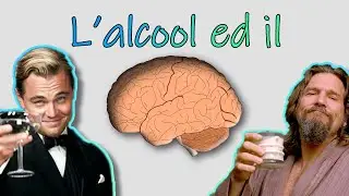 Effetti dell'alcool sul cervello ma lo spiego da UBRIACO