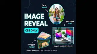 Image Reveal on Hover – CSS Animation Tutorial