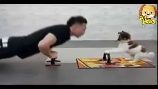 Training with dog