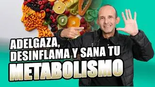 5 Consejos para sanar tu Metabolismo | Endocrino Rosero