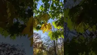 30 октября 2023 г.