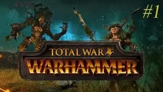 DURTHUUU! [Total War: Warhammer, Wood Elves, Strategy] #1
