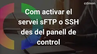 Com activar el servei sFTP o SSH des del panell de control