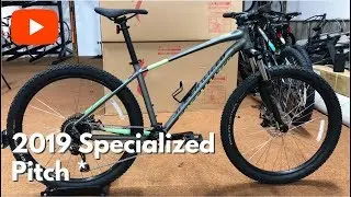 2019 Specialized Pitch*