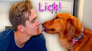 Living Like My Dogs for 24 Hours!