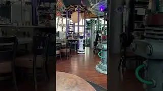 Bedienung in Schwerelos Restaurant Dresden