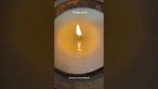 #таро