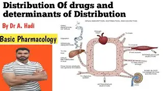 Distribution of drugs and determinants of distribution Basic Pharmacology