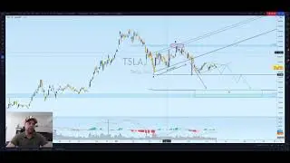 TESLA Monster short - Bereit für die nächste Welle!