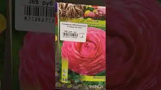ДАРВИН. Посадочный материал:фрезия, лук декоративный, ранункулюс, калла, анемона, прострел.
