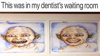 Best Memes Online