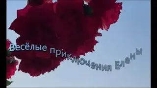 Весёлые приключения Елены #40#