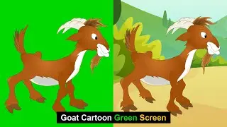 Goat Walking Green Screen | Green Screen Goat | Green BackGround Screen