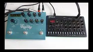 Roland Aira S1 & Strymon Big Sky