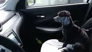 He is enjoying life