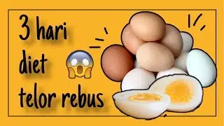 SAYA  COBA DIET TELOR REBUS SELAMA 3 HARI, HASILNYA WOWW!!!