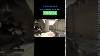 Лучший выстрел в истории CS GO из Тик Ток