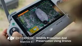 DJI Matrice 4T: Drones for Wildlife Protection and Preservation