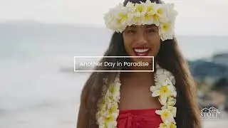 Another Day in Paradise: Luau | Stott Real Estate, Inc.