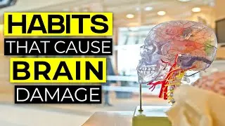 TOP Bad Habits That Cause Brain Damage // Brain Damaging Habits