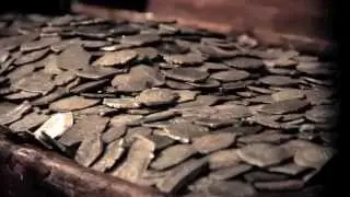 Manitoba Museum: Real Pirates: Barry Clifford: The Story Behind the Pirate Ship The Whydah
