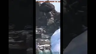 SHORTS / СОЛО МЕГАПИТЕК / BOSS / ARK 2023 