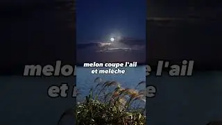 melon et meleche