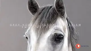 Learn to draw a grey horse - tutorial preview #beginnerartists #pastelpencils #patreon #softpastels