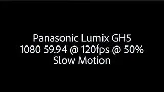 Panasonic Lumix GH5 Slow Motion 120fps