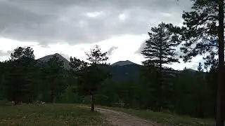 Video of Browns Creek (South) Dispersed Camping, CO from Will H.
