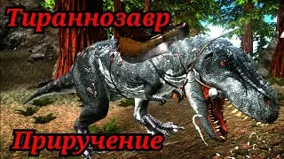 Приручение Тираннозавра в Ark mobile!/Modjis