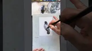 Быстрые зарисовки. Голубь. 