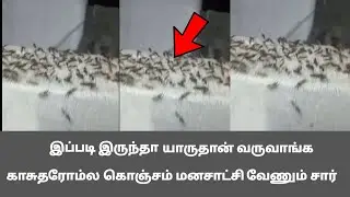 இத பார்க்கும்போது கோவம்தான் வருது