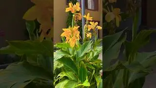 Switzerland! 🇨🇭Baden! / Как здесь красиво! 16.07.2023 #travel #beauty #switzerland #baden #summer