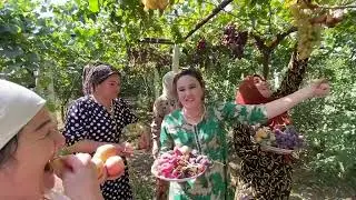 ГЕРМОНИЯДА БИРГА ХИЗМАТДОШ..ГСВГ..ВЧ 47444