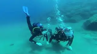 Un verano 2020 diferente (Lanzarote)
