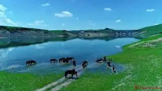 Urumqi Southern Pasture #xinjiang #urumqi #chinatourstar