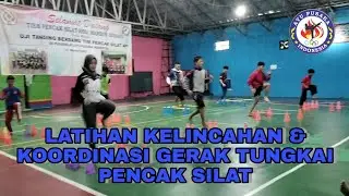 LATIHAN KELINCAHAN & KOORDINASI GERAK PENCAK SILAT || Ayu Pusaka Indonesia