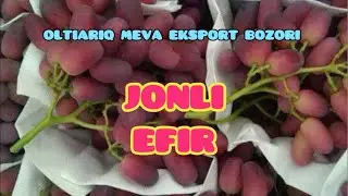 ОЛТИАРИҚ МЕВА ЭКСПОРТ БОЗОРИ.2024.10.29