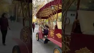 Карета 03.11.2024