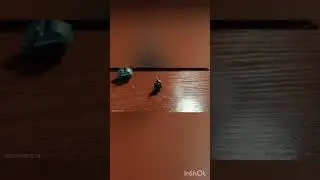 Граната Ф-1 из пластилина